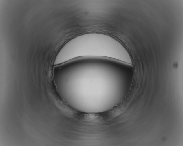 X0000093130380200709261041