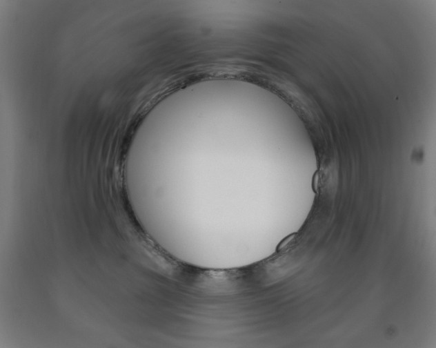 X0000093130381200709261041