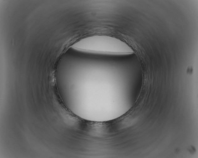 X0000093130383200709261041