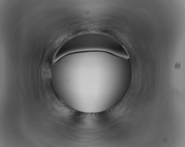 X0000093130384200709261041