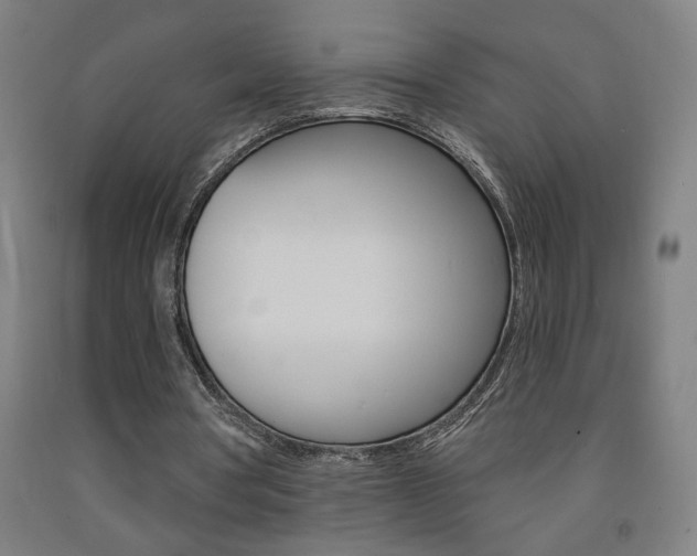 X0000093130386200709261040