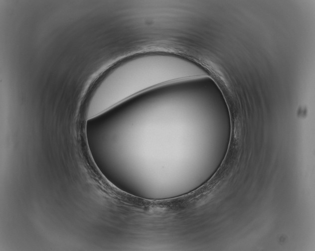 X0000093130388200709261040