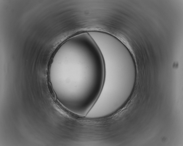 X0000093130389200709261040