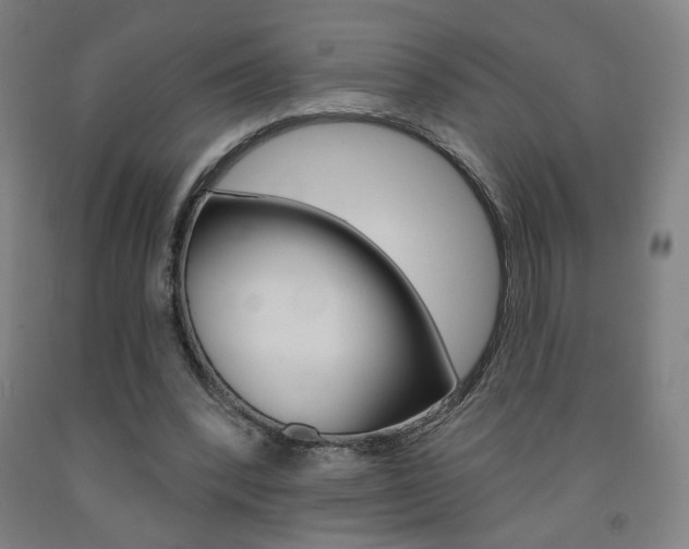 X0000093130392200709261040