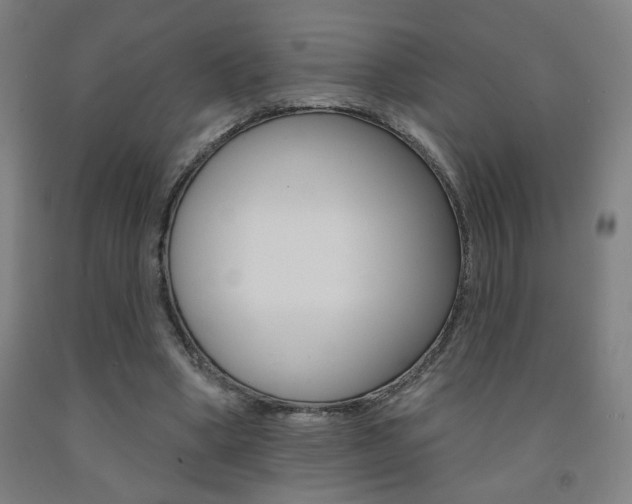 X0000093130394200709261040