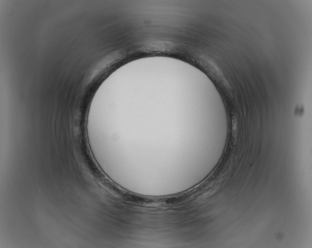 X0000093130396200709261040