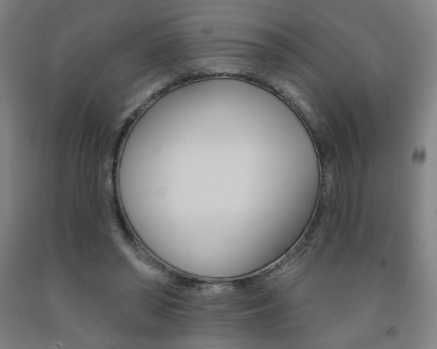 X0000093130398200709261040