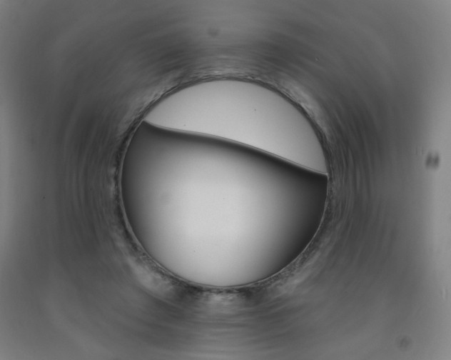 X0000093130401200709261040