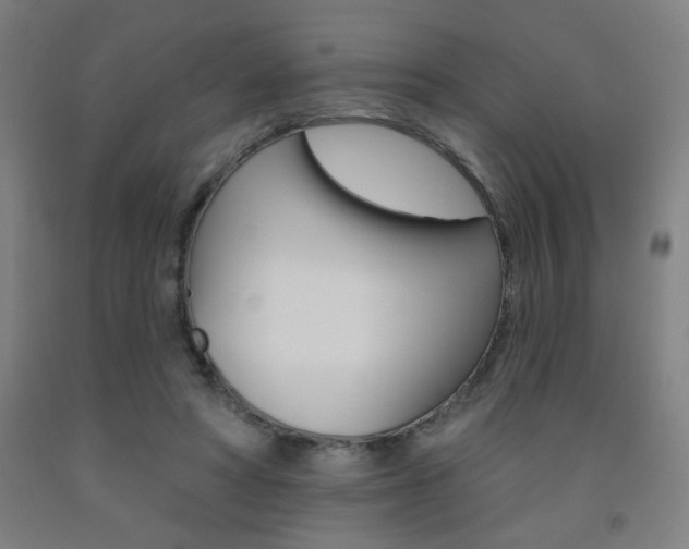 X0000093130402200709261040