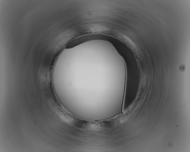 X0000093130405200709261040