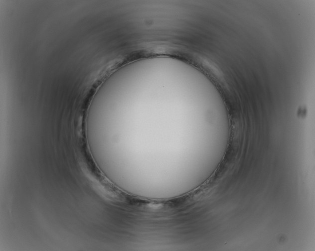 X0000093130406200709261040