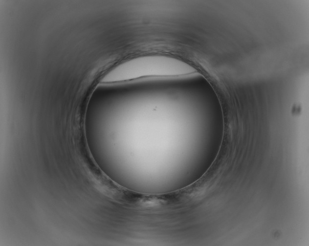 X0000093130407200709261040