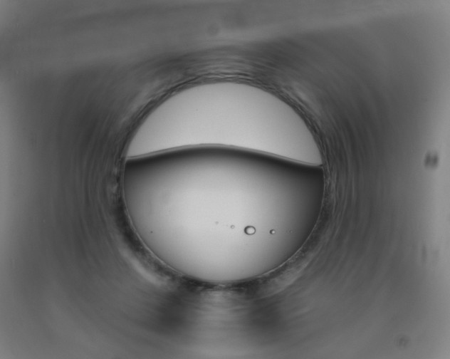 X0000093130408200709261040
