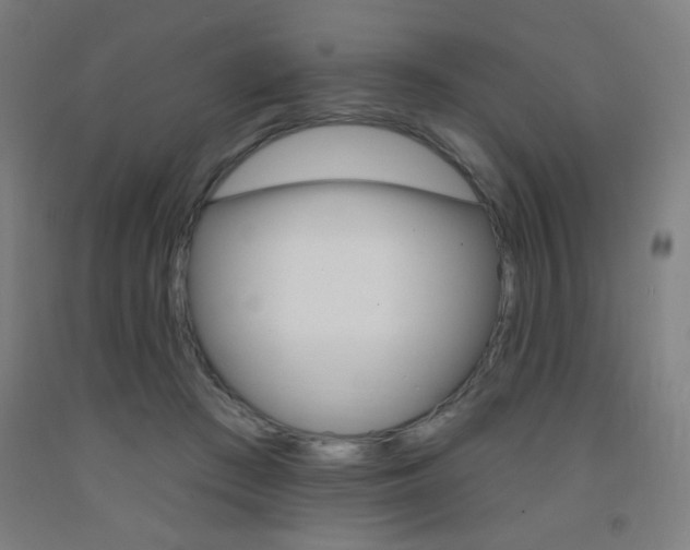 X0000093130409200709261040