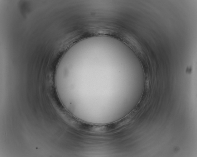 X0000093130410200709261040