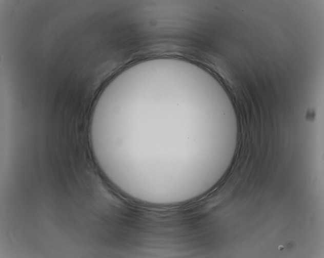 X0000093130411200709261040