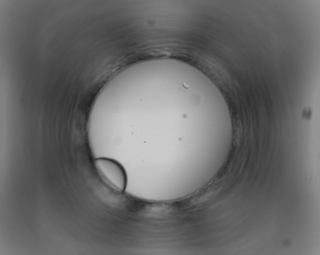 X0000093130414200709261040
