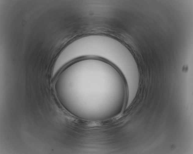 X0000093130415200709261040