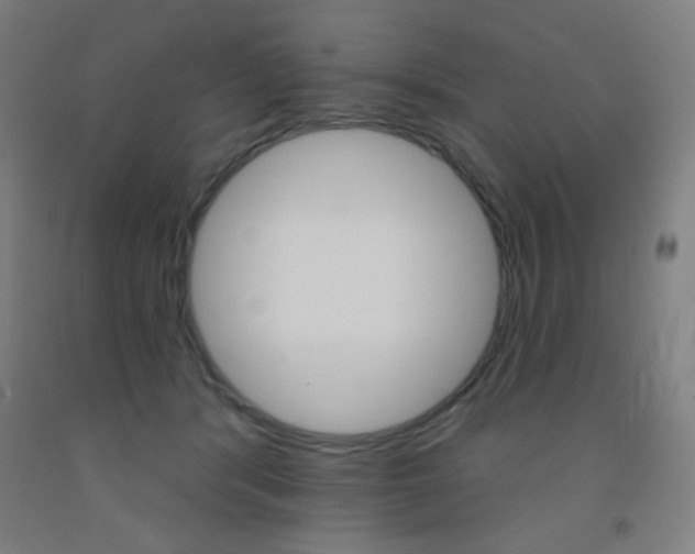 X0000093130416200709261040