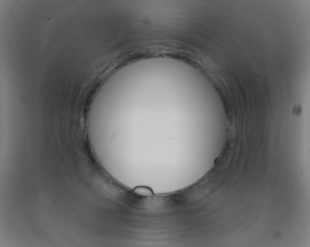 X0000093130418200709261040