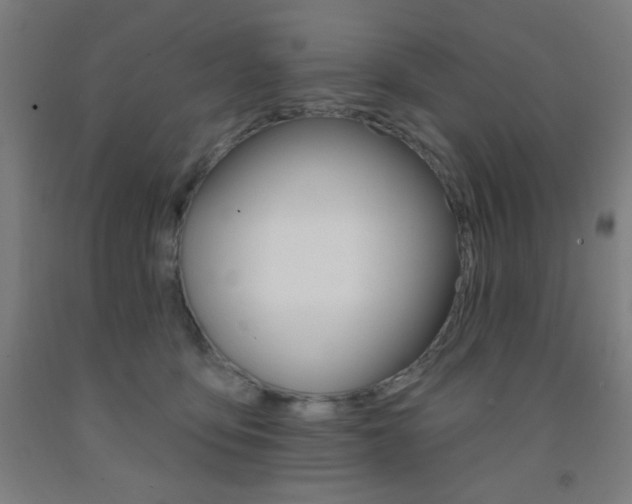 X0000093130419200709261040