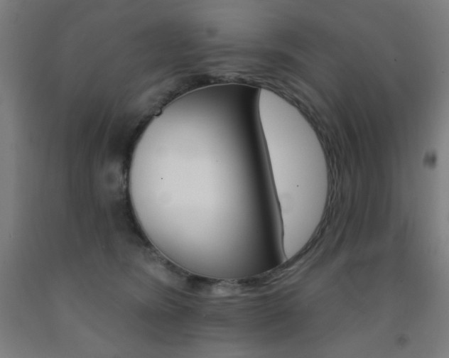 X0000093130420200709261040