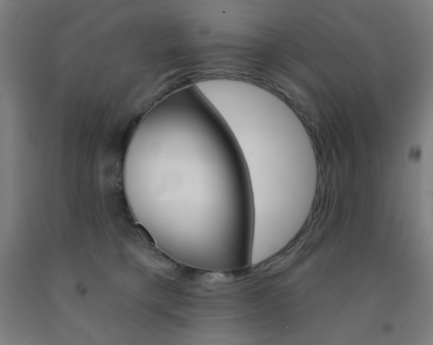 X0000093130421200709261040