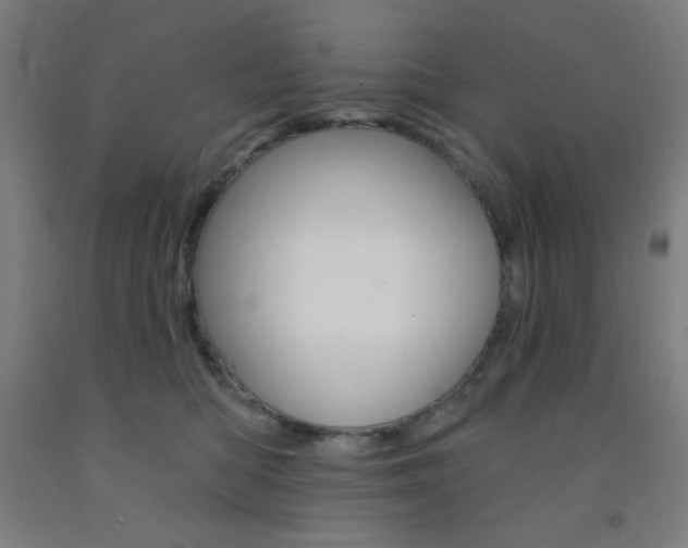 X0000093130422200709261040