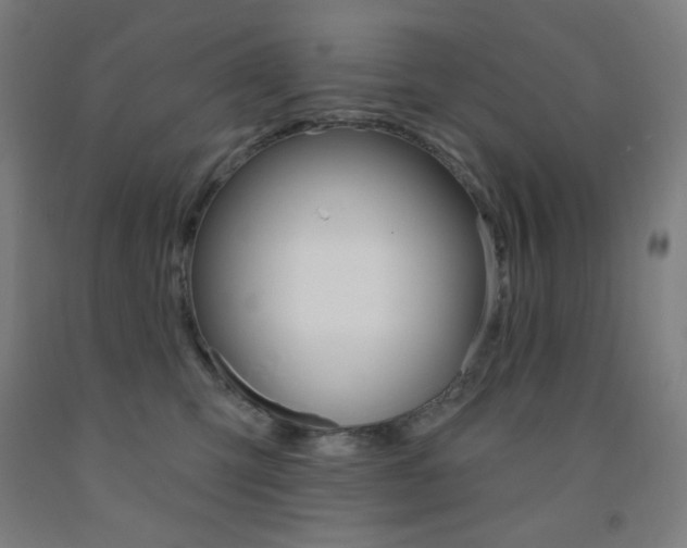 X0000093130423200709261040