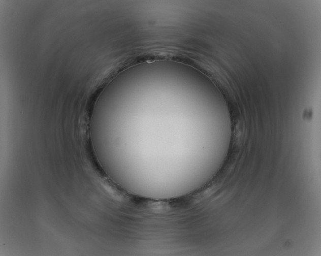 X0000093130424200709261040