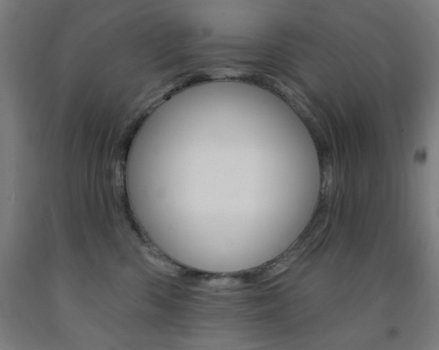 X0000093130426200709261040