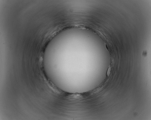 X0000093130427200709261040