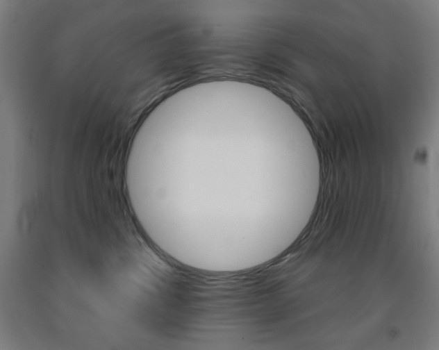 X0000093130428200709261040