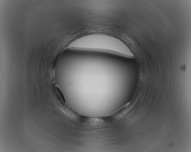 X0000093130429200709261040
