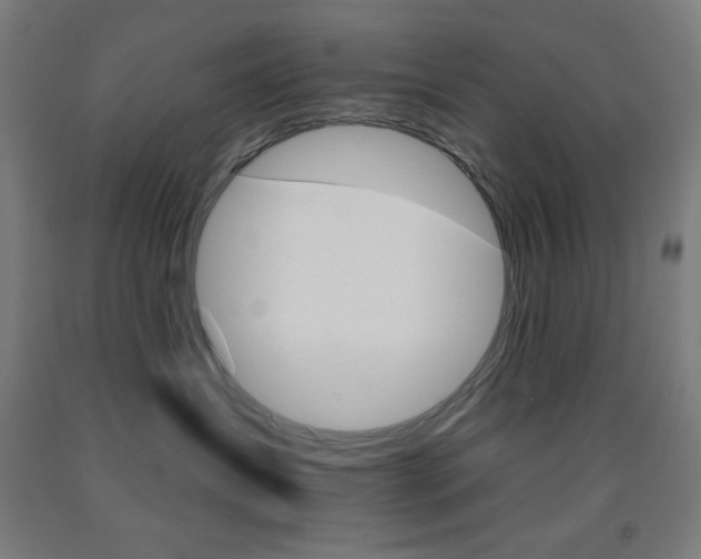 X0000093130431200709261040