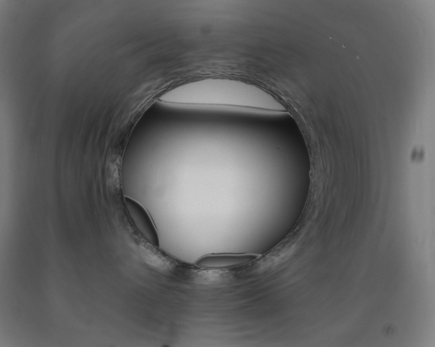 X0000093130432200709261040