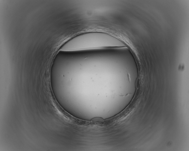 X0000093130433200709261039