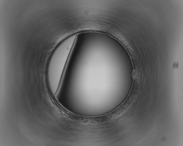 X0000093130434200709261039