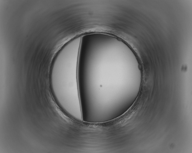 X0000093130437200709261039