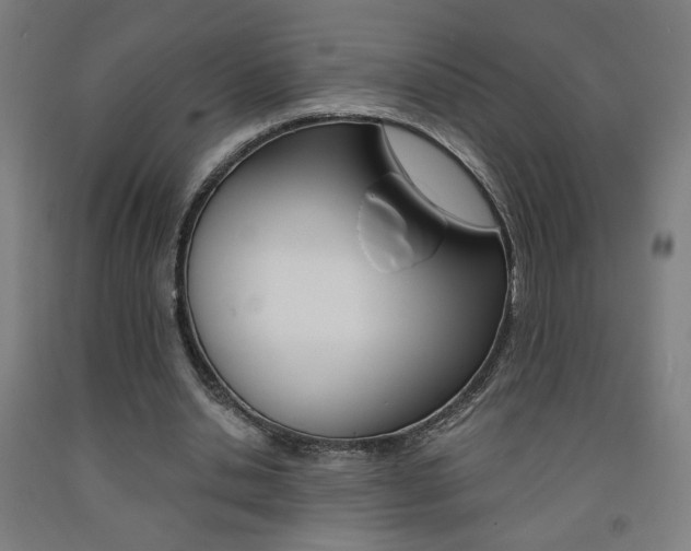 X0000093130438200709261039
