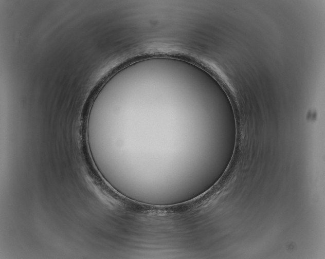 X0000093130439200709261039