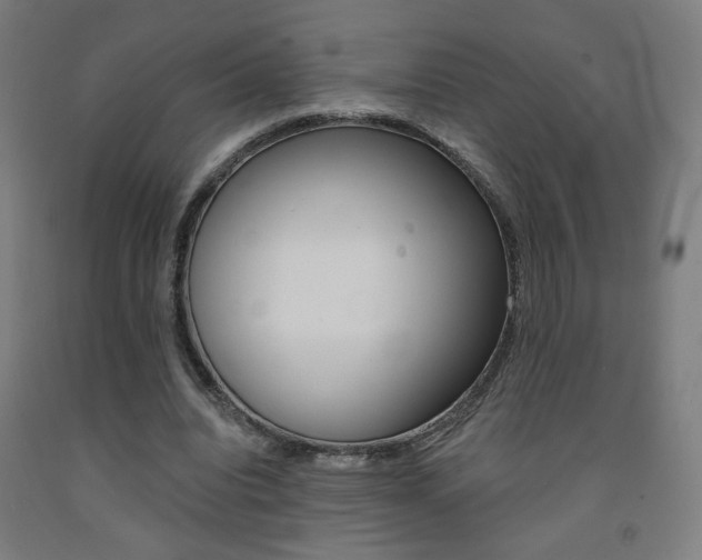 X0000093130440200709261039