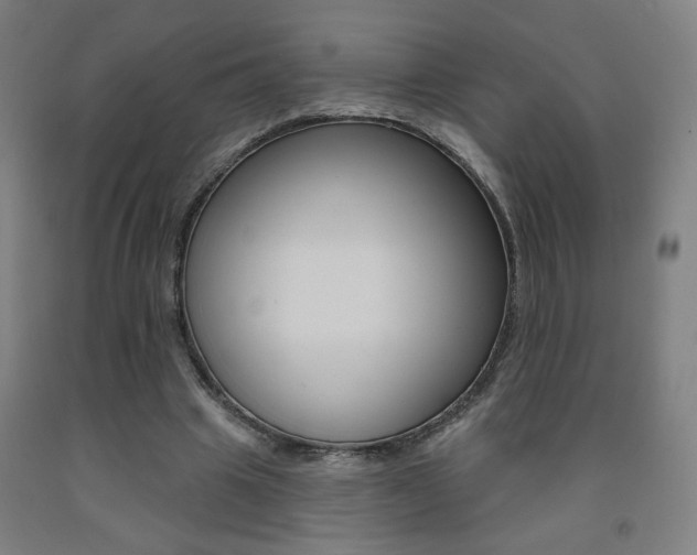 X0000093130441200709261039