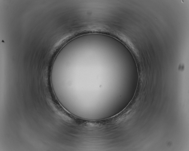 X0000093130442200709261039