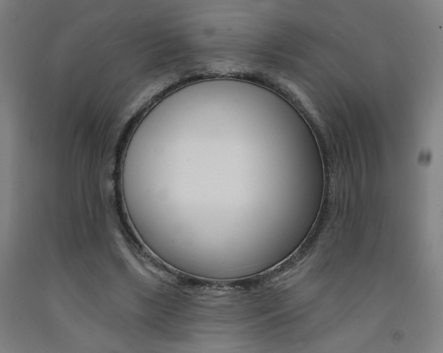 X0000093130443200709261039