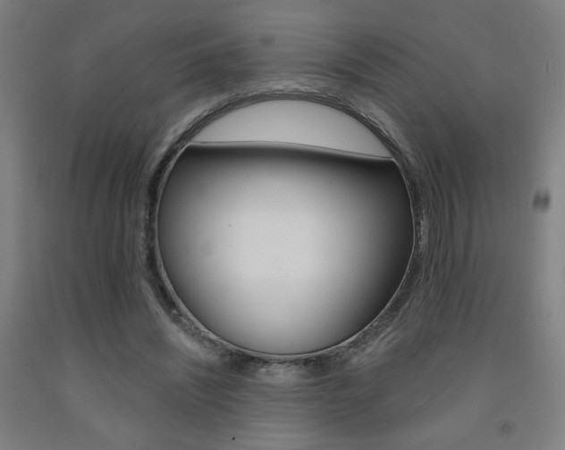 X0000093130444200709261039