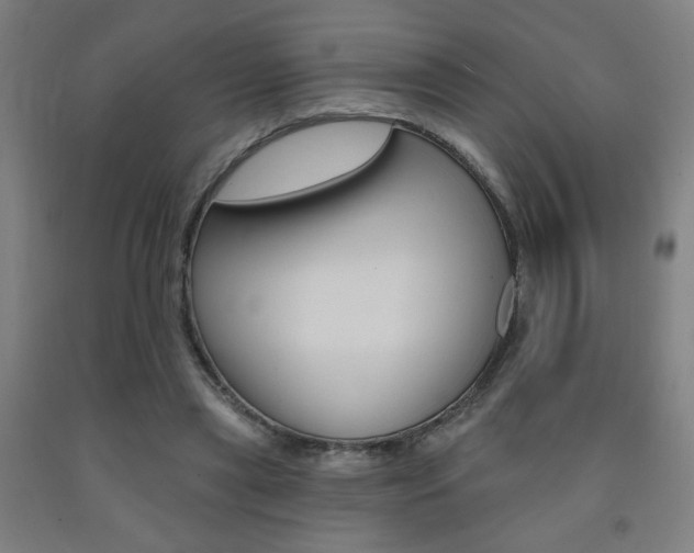 X0000093130445200709261039