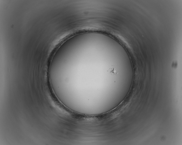 X0000093130446200709261039