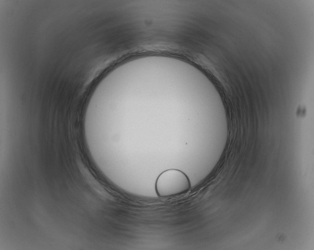X0000093130448200709261039