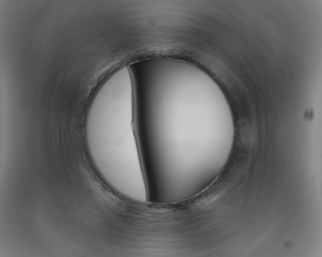 X0000093130450200709261039